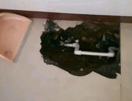 五通桥卫生间测漏水多少钱
